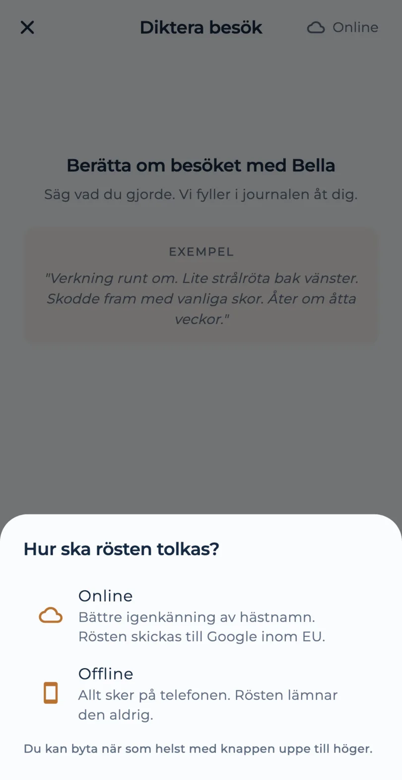 Valet mellan online och igenkänning på enheten i Hovio, med vad som skiljer dem åt